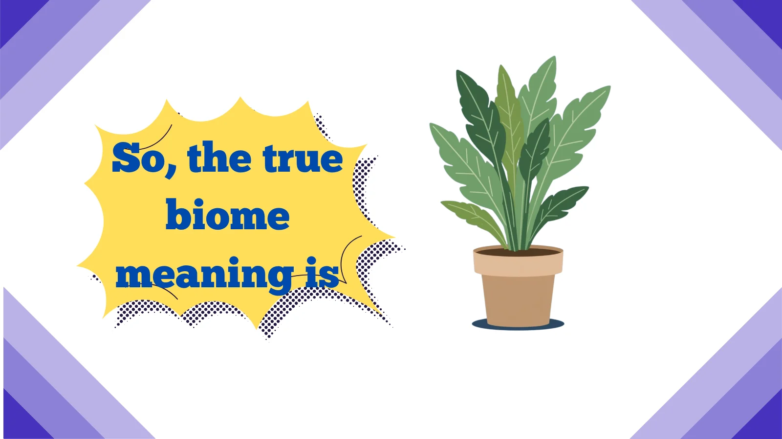 biome meaning