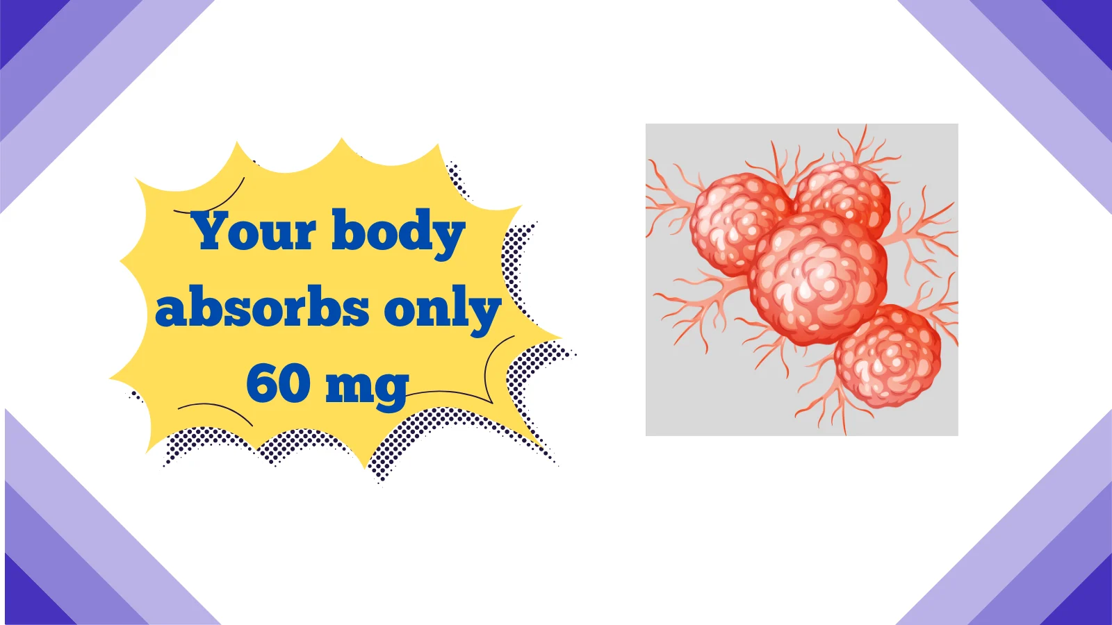 bioavailability meaning