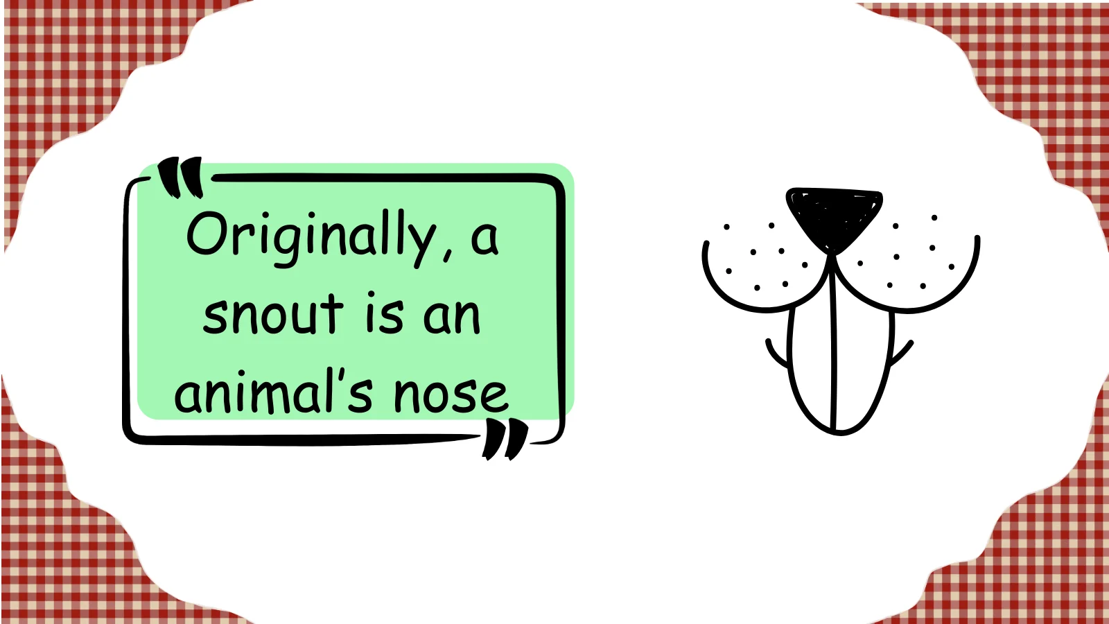snout meaning